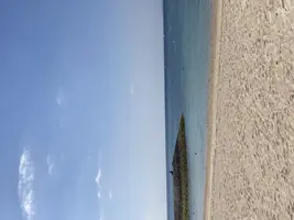 写メ日記 みき 12/31(水) 06:48