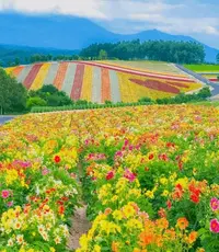 写メ日記 ここは 1/3(土) 10:11