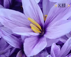 写メ日記 小山真帆 1/3(土) 21:02