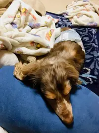 写メ日記 ちふゆ 1/5(月) 10:08