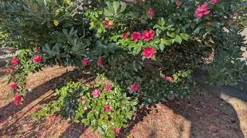 写メ日記 みわ 1/5(月) 14:43