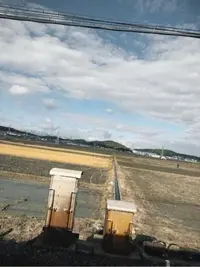 写メ日記 なみ 1/5(月) 21:57