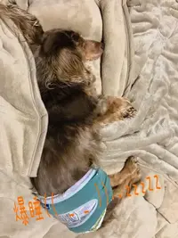 写メ日記 ちふゆ 1/6(火) 05:28