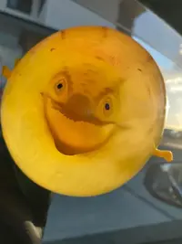 写メ日記 えま 1/7(水) 20:44