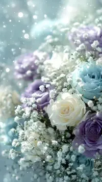 写メ日記 結城莉緒 1/7(水) 21:27