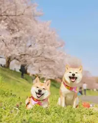 写メ日記 つかさ 1/8(木) 00:31