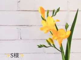 写メ日記 小山真帆 1/10(土) 21:14