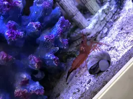 写メ日記 ちよ 1/13(火) 04:40