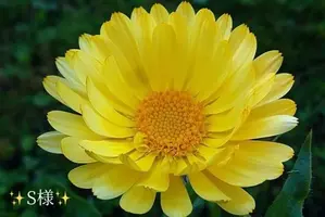 写メ日記 小山真帆 1/13(火) 08:48