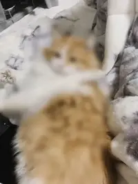 写メ日記 みさ 1/13(火) 19:18