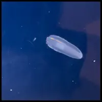 写メ日記 ありす 1/14(水) 09:46