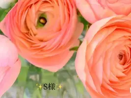 写メ日記 小山真帆 1/15(木) 22:22