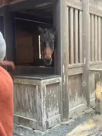 写メ日記 まこと 1/16(金) 20:38