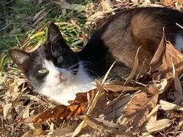 写メ日記 えま 1/17(土) 13:37