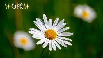 写メ日記 小山真帆 1/18(日) 00:10