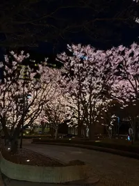 写メ日記 らら 1/18(日) 14:23