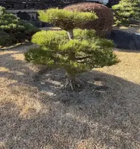 写メ日記 みき 1/18(日) 20:14