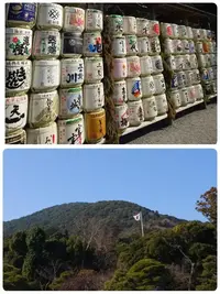 写メ日記 いちか 1/19(月) 22:56