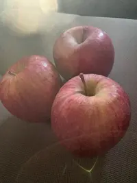 写メ日記 ゆかり 1/20(火) 10:31