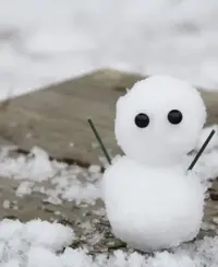 写メ日記 川嶋れい 1/25(日) 10:02