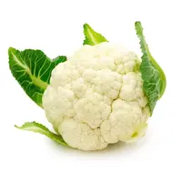 写メ日記 つかさ 1/29(木) 00:28