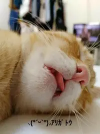 写メ日記 すみ 1/29(木) 01:34