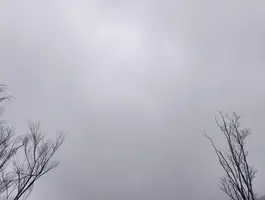 写メ日記 さくら 1/29(木) 14:00