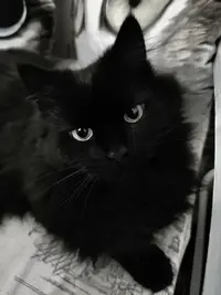 写メ日記 みう 1/29(木) 22:29