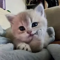 写メ日記 うさ 1/29(木) 23:27