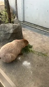写メ日記 あん 2/1(日) 20:19