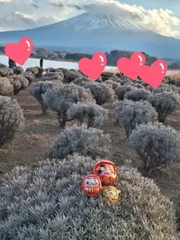 写メ日記 宮本恵美子 2/4(水) 15:04