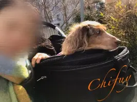 写メ日記 ちふゆ 2/5(木) 00:06