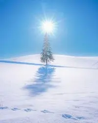 写メ日記 ともこ 2/5(木) 10:06