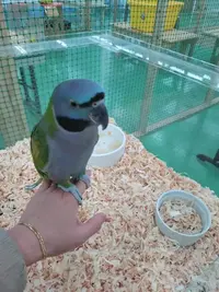 写メ日記 あい 2/5(木) 14:00