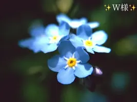 写メ日記 小山真帆 2/7(土) 21:16