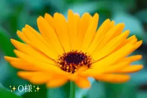 写メ日記 小山真帆 2/10(火) 07:54