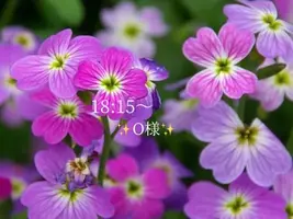 写メ日記 小山真帆 2/10(火) 08:32