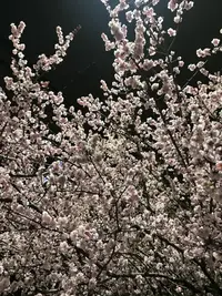 写メ日記 ゆい 2/11(水) 14:33