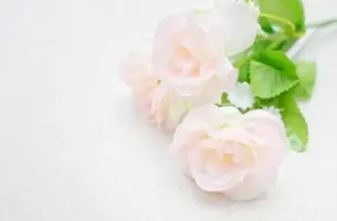 写メ日記 ゆいら 2/12(木) 15:09