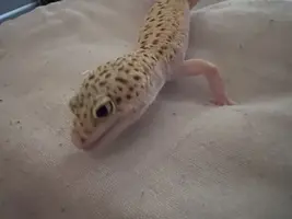 写メ日記 まこと 2/18(水) 18:26