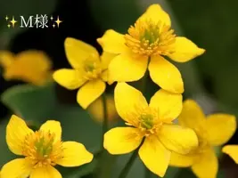 写メ日記 小山真帆 2/19(木) 08:10