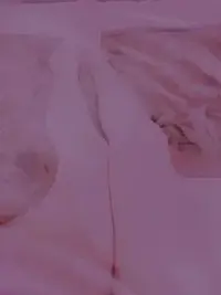 写メ日記 きゆう 2/23(月) 06:00