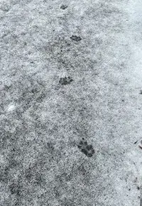 写メ日記 みやび 2/25(水) 18:52