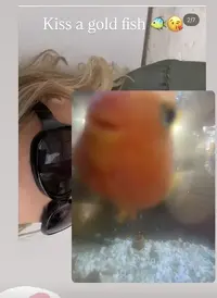 写メ日記 アーシャ 2/26(木) 09:01