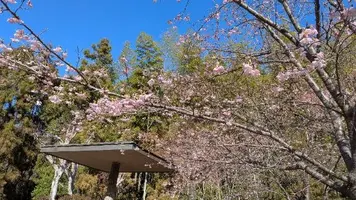 写メ日記 みわ 2/26(木) 15:51