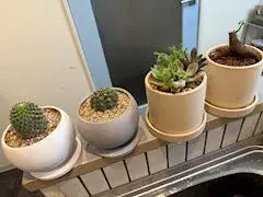 写メ日記 なみね 2/26(木) 19:24