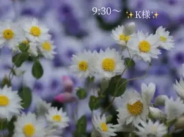 写メ日記 小山真帆 2/26(木) 20:28