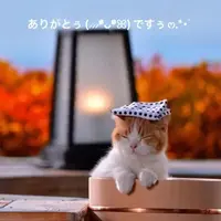 写メ日記 すみ 2/27(金) 22:14