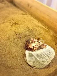 写メ日記 ねね 3/1(日) 12:23