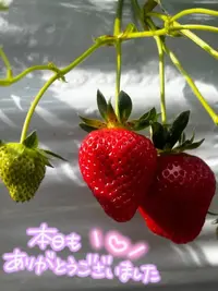 写メ日記 ゆみり 3/3(火) 21:28